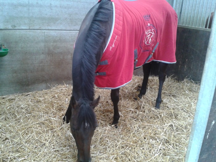 Photo de profil de lndanaesse