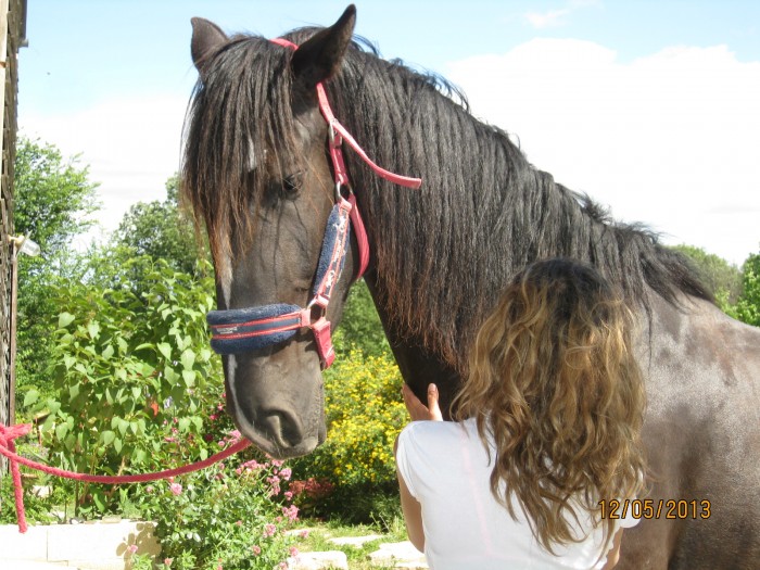 Photo de profil de lohanne25volga