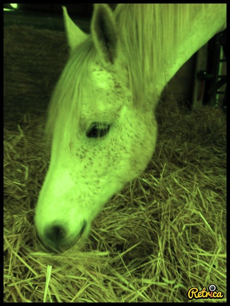 Photo de profil de lorelei59730