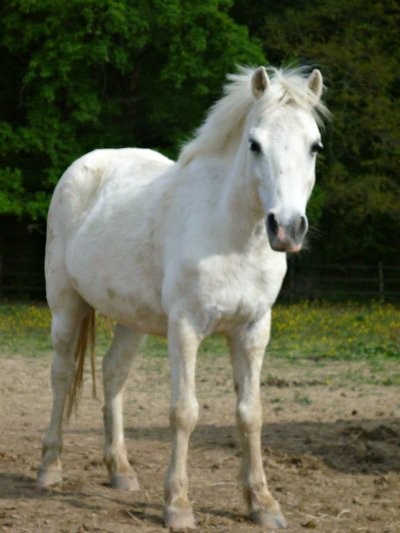 Photo de profil de loubresse