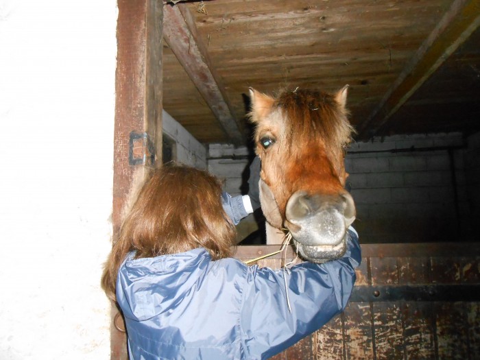 Photo de profil de loveequiitation
