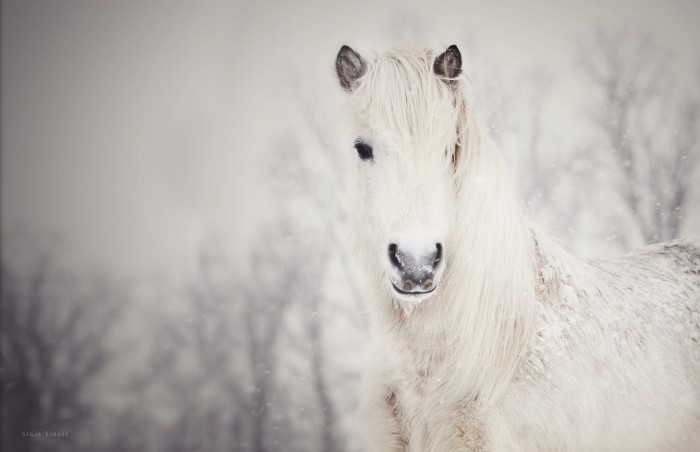 Photo de profil de luckypotiron