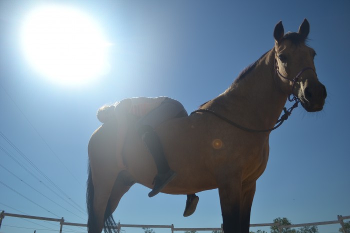 Photo de profil de luzponey