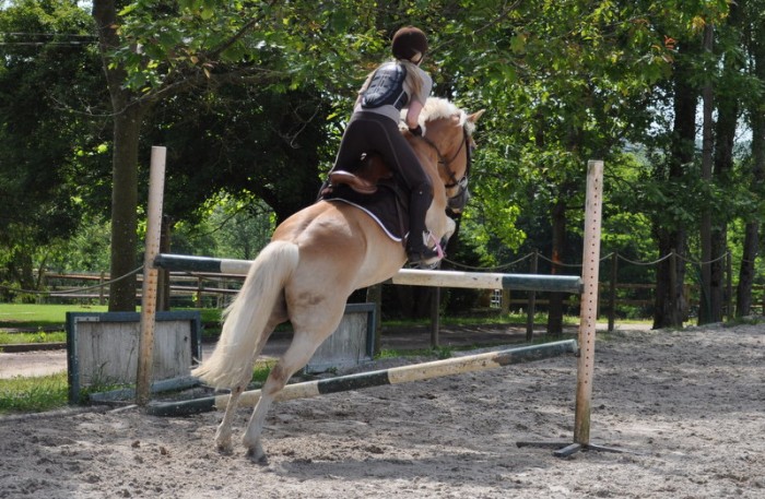 Photo de profil de margauxvtcq