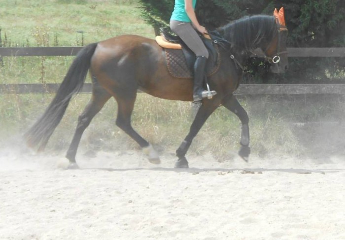 Photo de profil de margotpoto