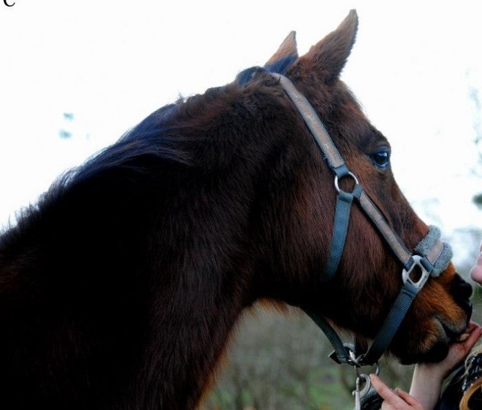 Photo de profil de marion6405