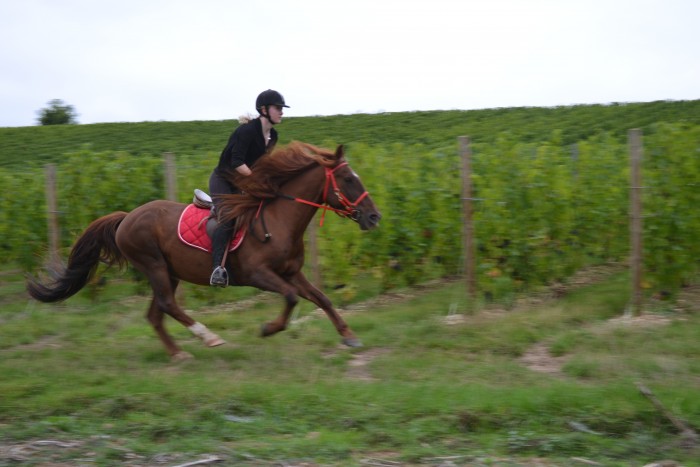 Photo de profil de marionland