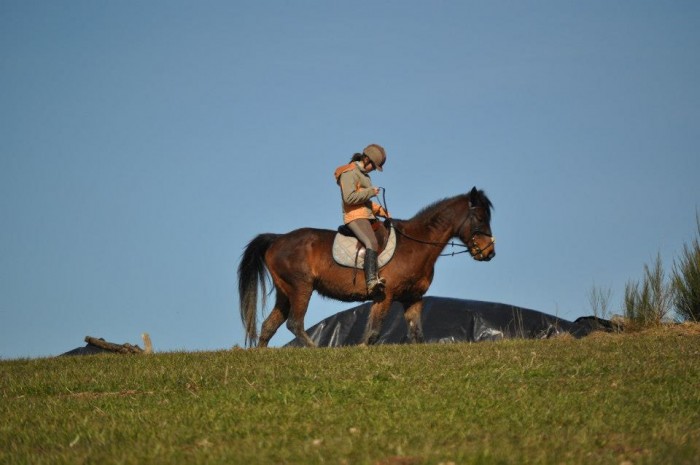 Photo de profil de marulliat