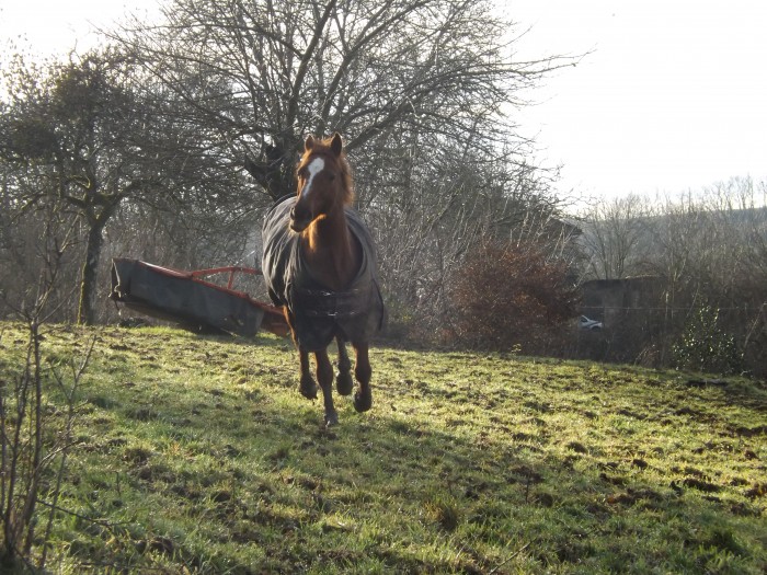 Photo de profil de mathiilde.39