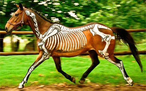 Photo de profil de melmarotte