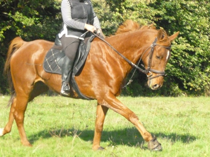 Photo de profil de mesperleuch