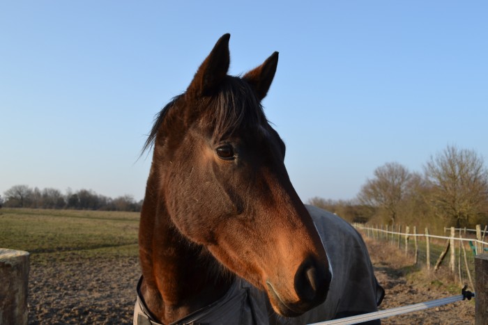 Photo de profil de miss_pucy