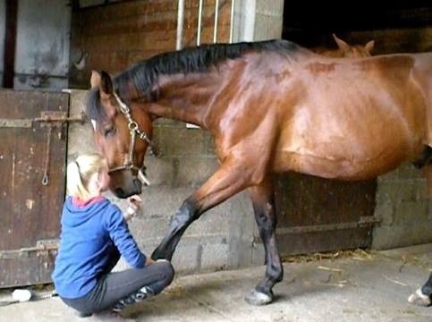 Photo de profil de missssssscheval
