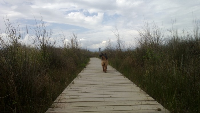 Photo de profil de miss_tagada