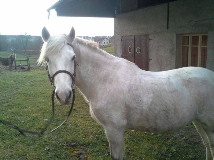 Photo de profil de mumux63300