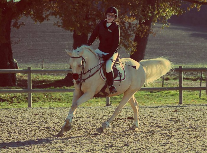 Photo de profil de nono65
