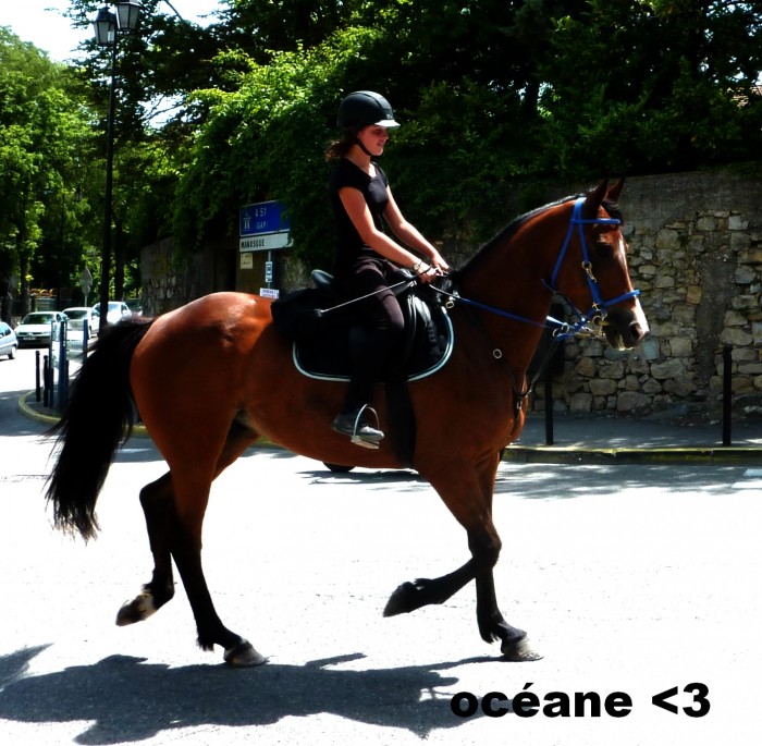 Photo de profil de oceanedupignon