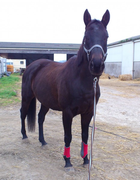 Photo de profil de oleron3