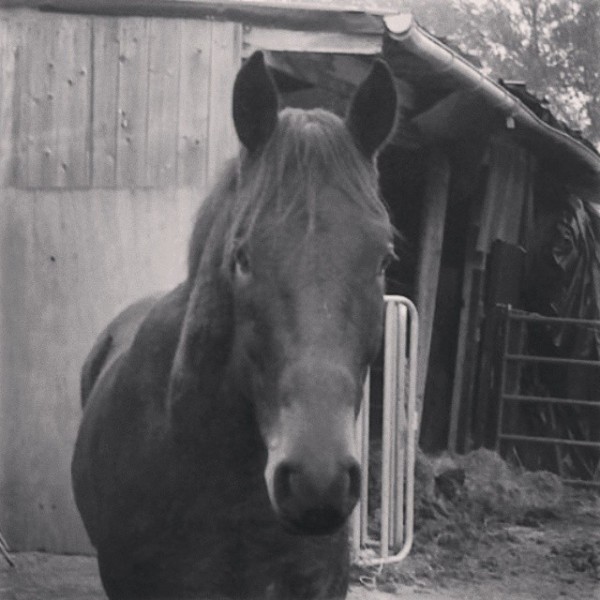 Photo de profil de olivia.s