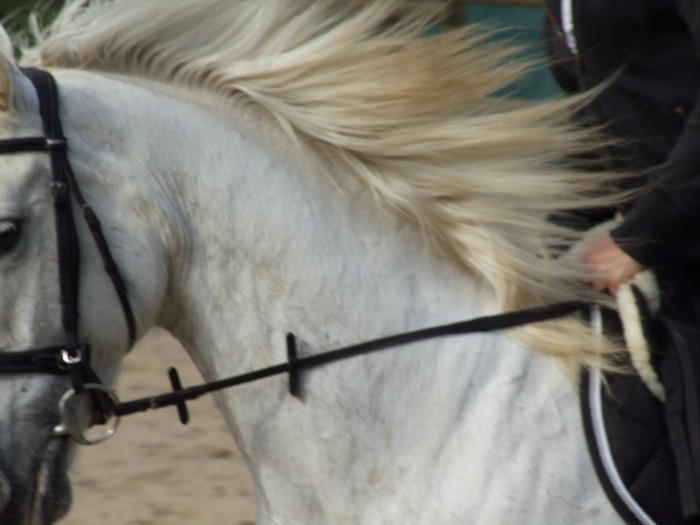 Photo de profil de passandre