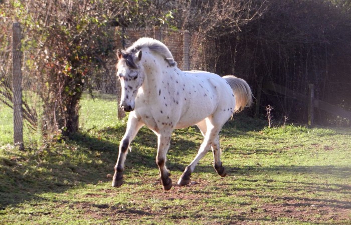 Photo de profil de phedre07