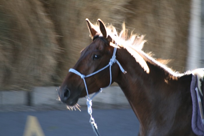 Photo de profil de phinou71