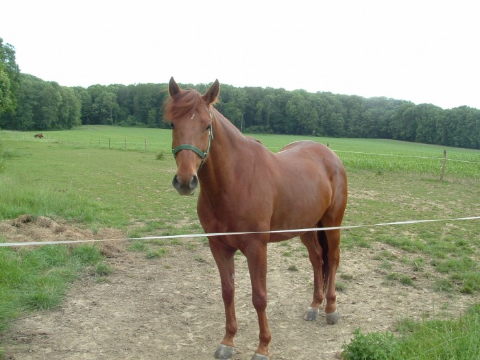 Photo de profil de picas68