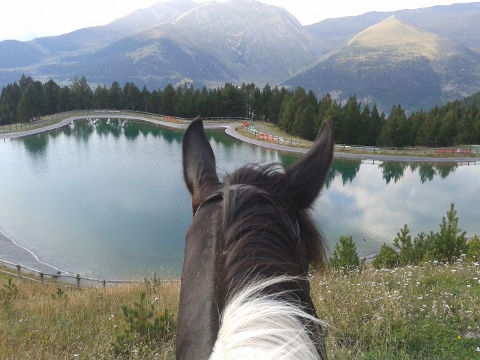 Photo de profil de piroshka