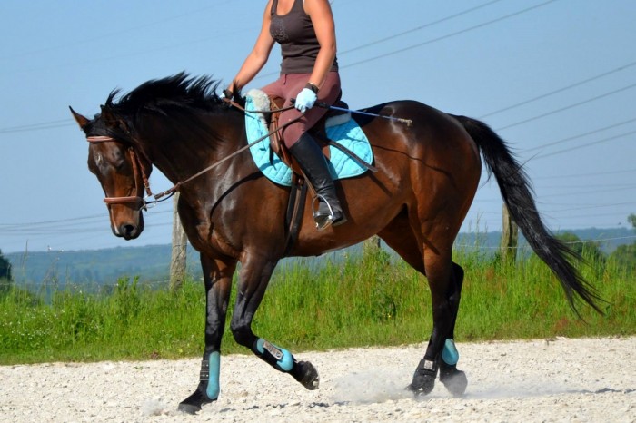 Photo de profil de poney69