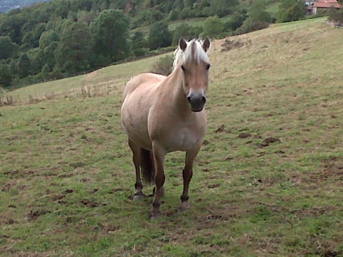 Photo de profil de popo43