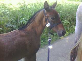 Photo de profil de prancer555