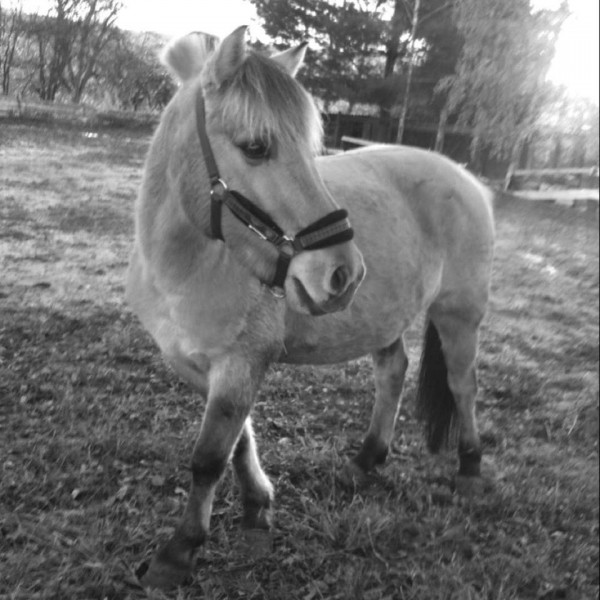 Photo de profil de princelove