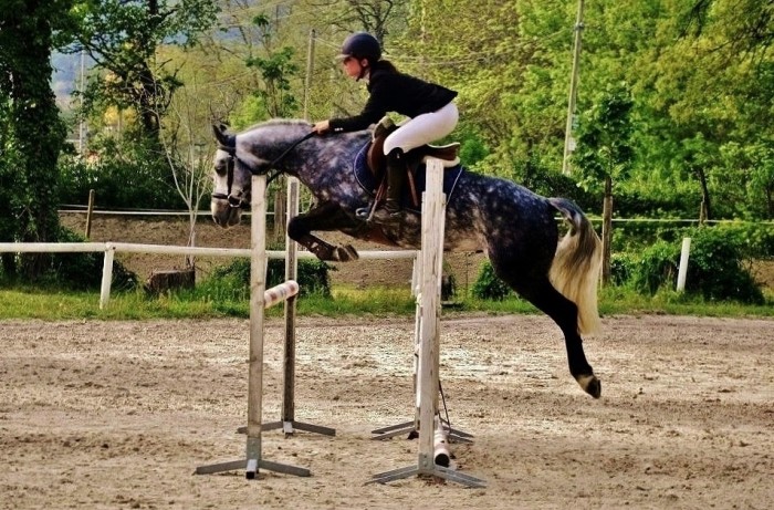 Photo de profil de severinegynn