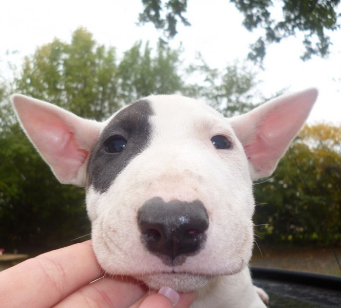 Photo de profil de sophie812