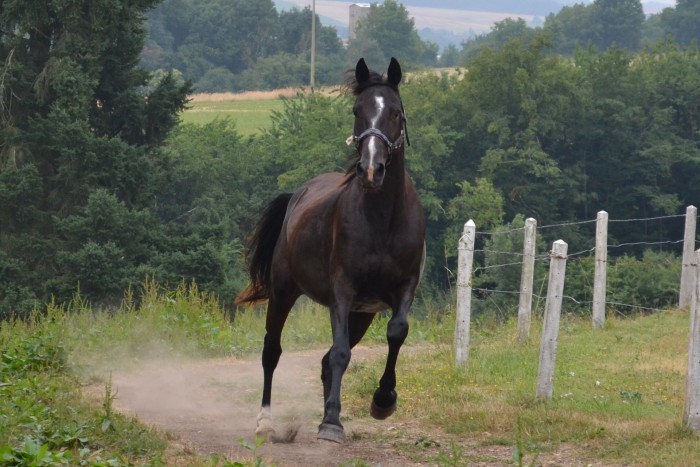 Photo de profil de sphbsgr