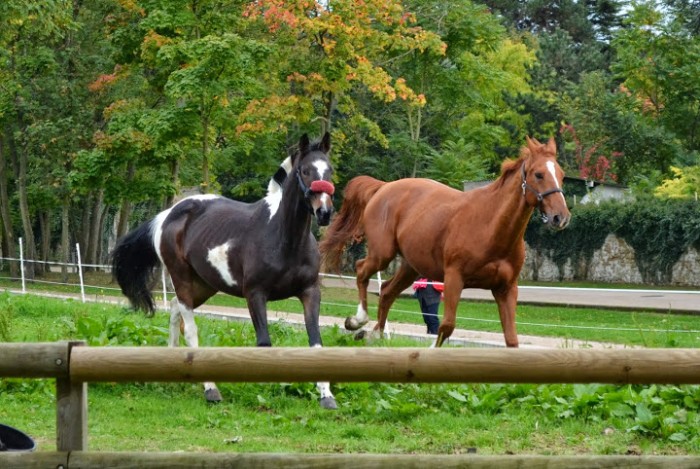 Photo de profil de s_vdf