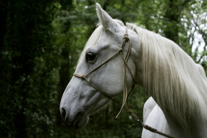 Photo de profil de sweetsense