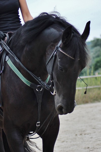 Photo de profil de talitha1409