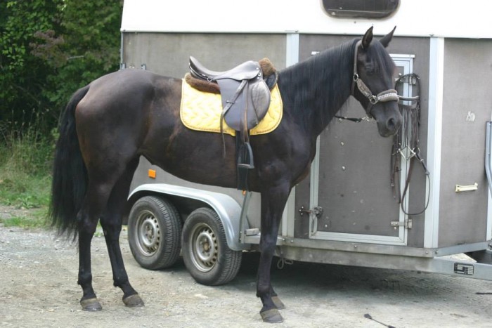 Photo de profil de tataze