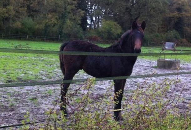 Photo de profil de titiveloce