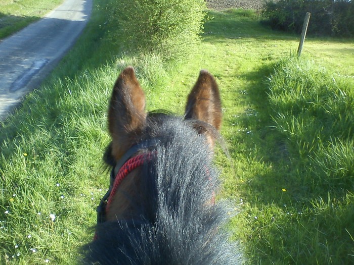 Photo de profil de titoune37300