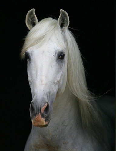 Photo de profil de turine25