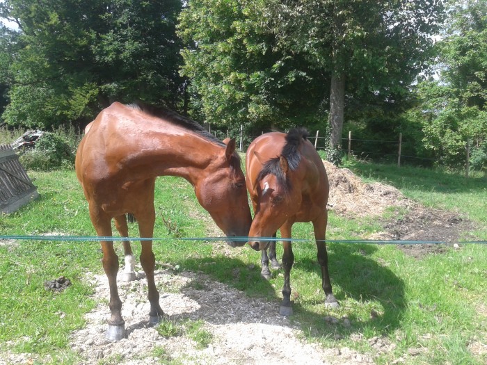 Photo de profil de ubilou