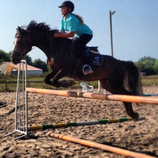 Photo de profil de ulvino