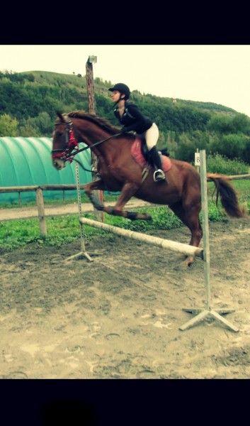 Photo de profil de valentine_niko