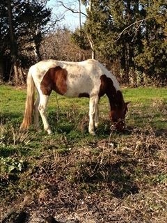 Photo de profil de vicky30