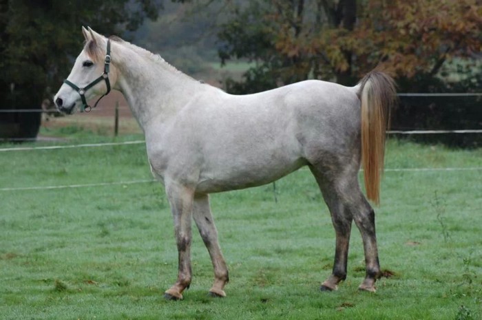 Photo de profil de alex39160