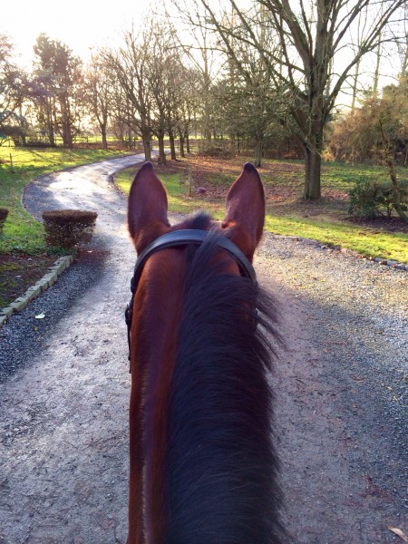 Photo de profil de alexaneh