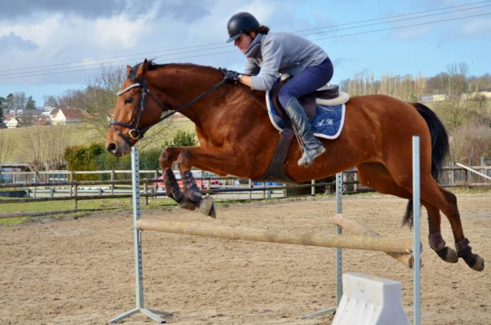 Photo de profil de anne1403