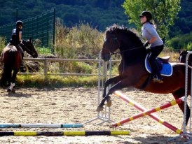 Photo de profil de annoncecheval